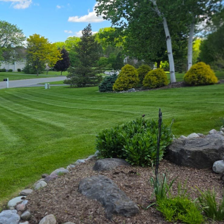 El Paisano Landscaping Work