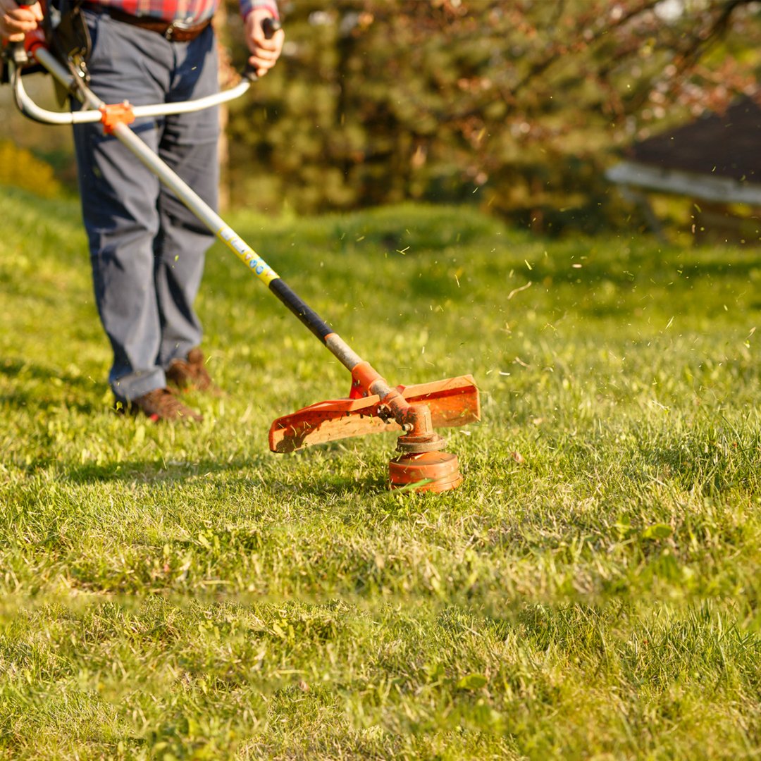 Professional Grass Cutting and Mowing